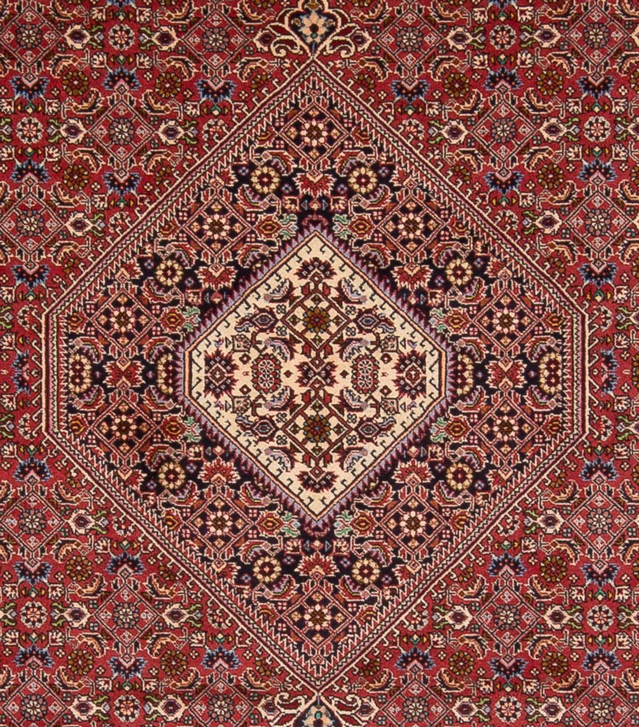 Alfombra persa - Bidjar - 339 x 249 cm - rojo oscuro