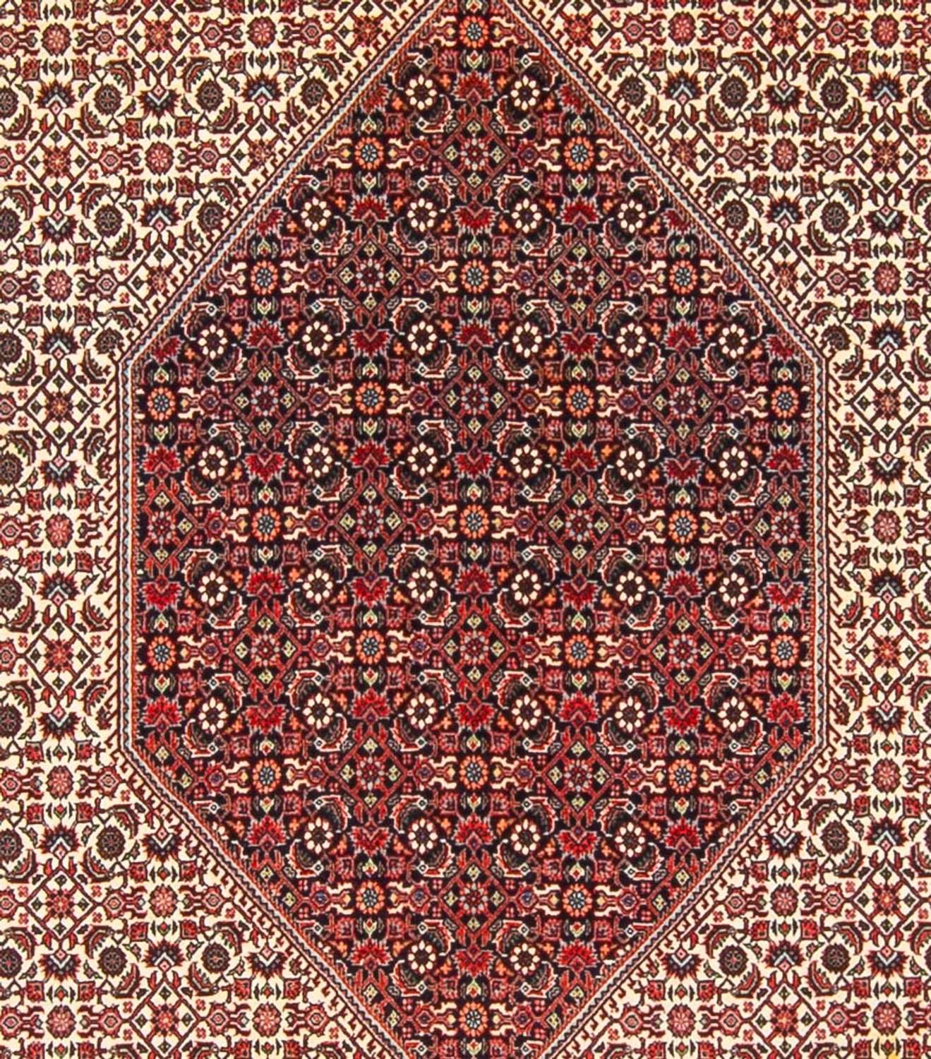 Alfombra persa - Bidjar - 300 x 253 cm - crema