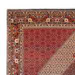 Perský koberec - Bijar - Královský - 300 x 253 cm - krémová