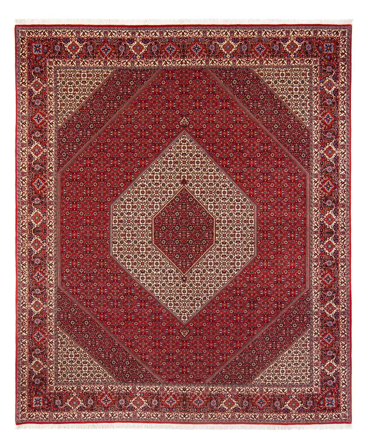 Tapis persan - Bidjar - 301 x 253 cm - crème