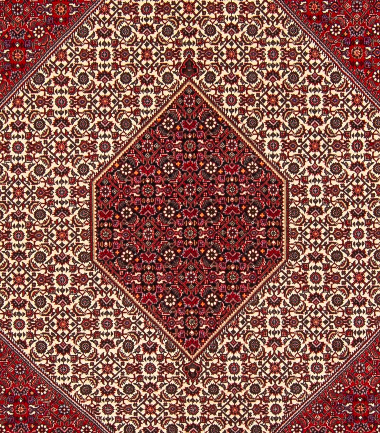 Persisk matta - Bijar - Royal - 301 x 253 cm - grädde