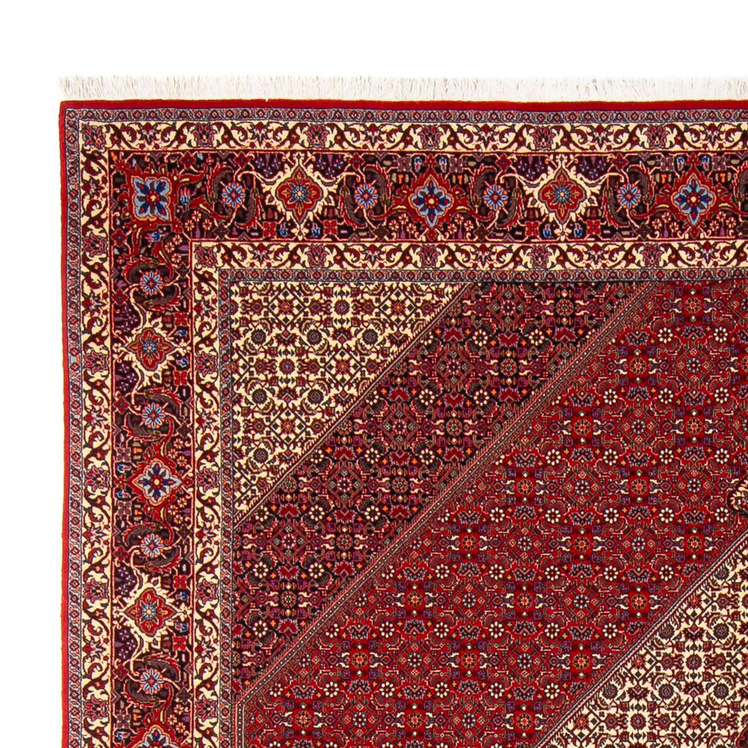Persisk matta - Bijar - Royal - 301 x 253 cm - grädde