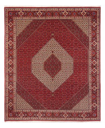 Perserteppich - Bidjar - Royal - 301 x 253 cm - creme