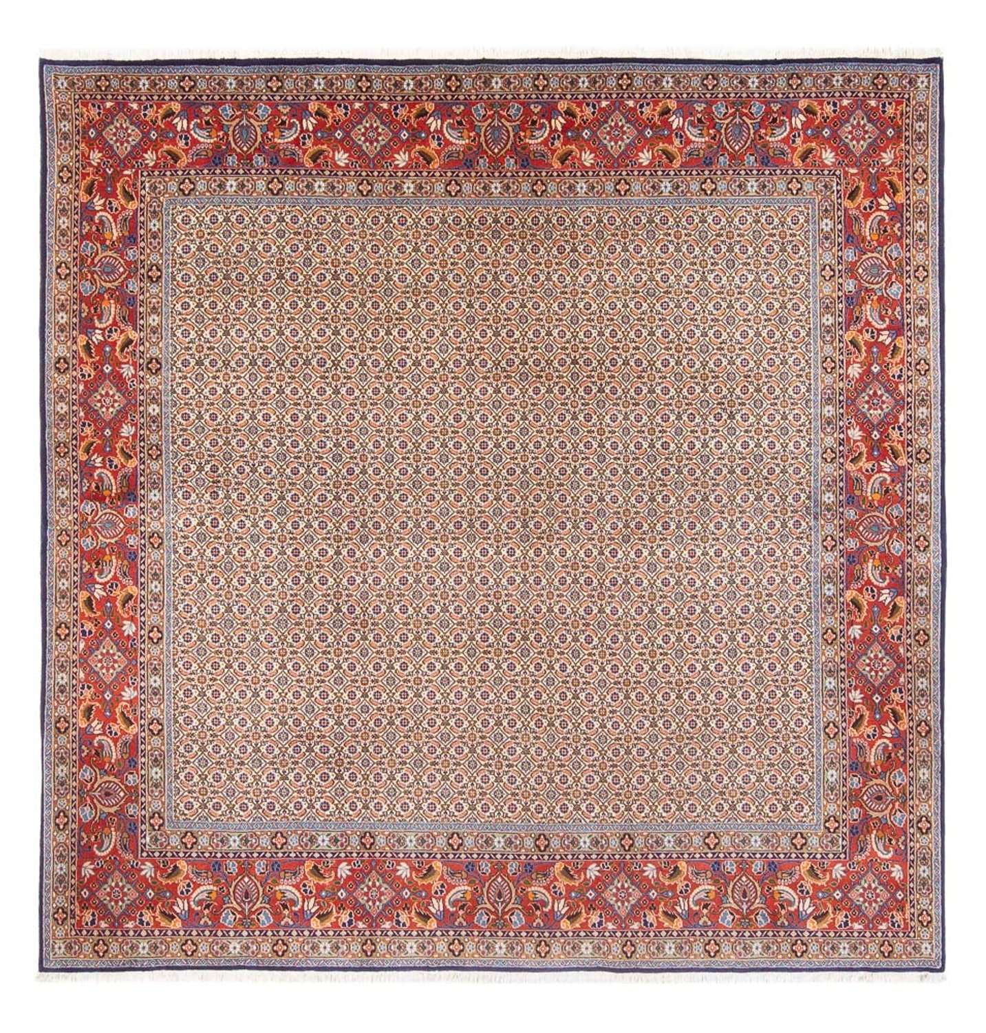 Perserteppich - Classic quadratisch  - 242 x 247 cm - dunkelbeige