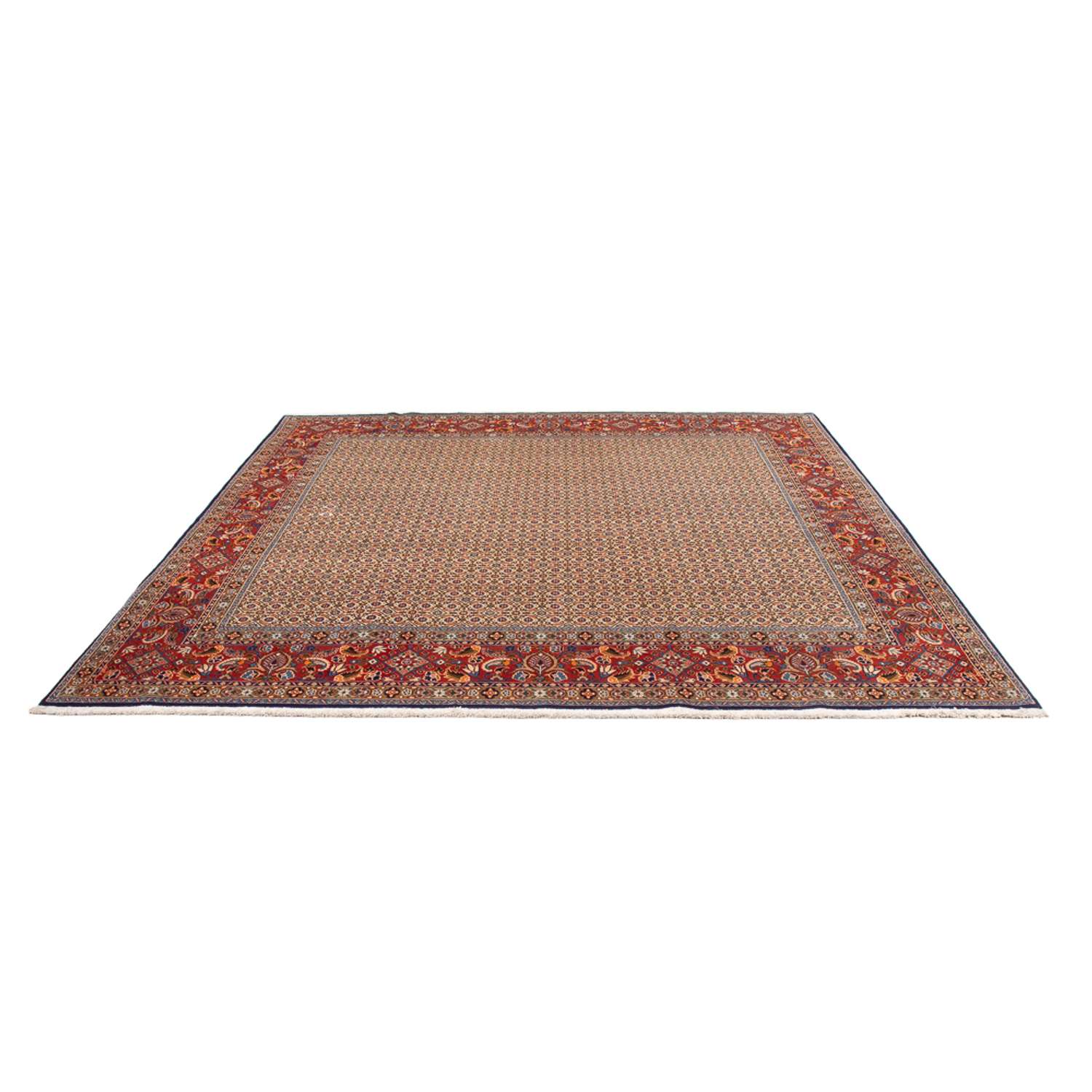 Persisk teppe - klassisk square  - 242 x 247 cm - mørk beige