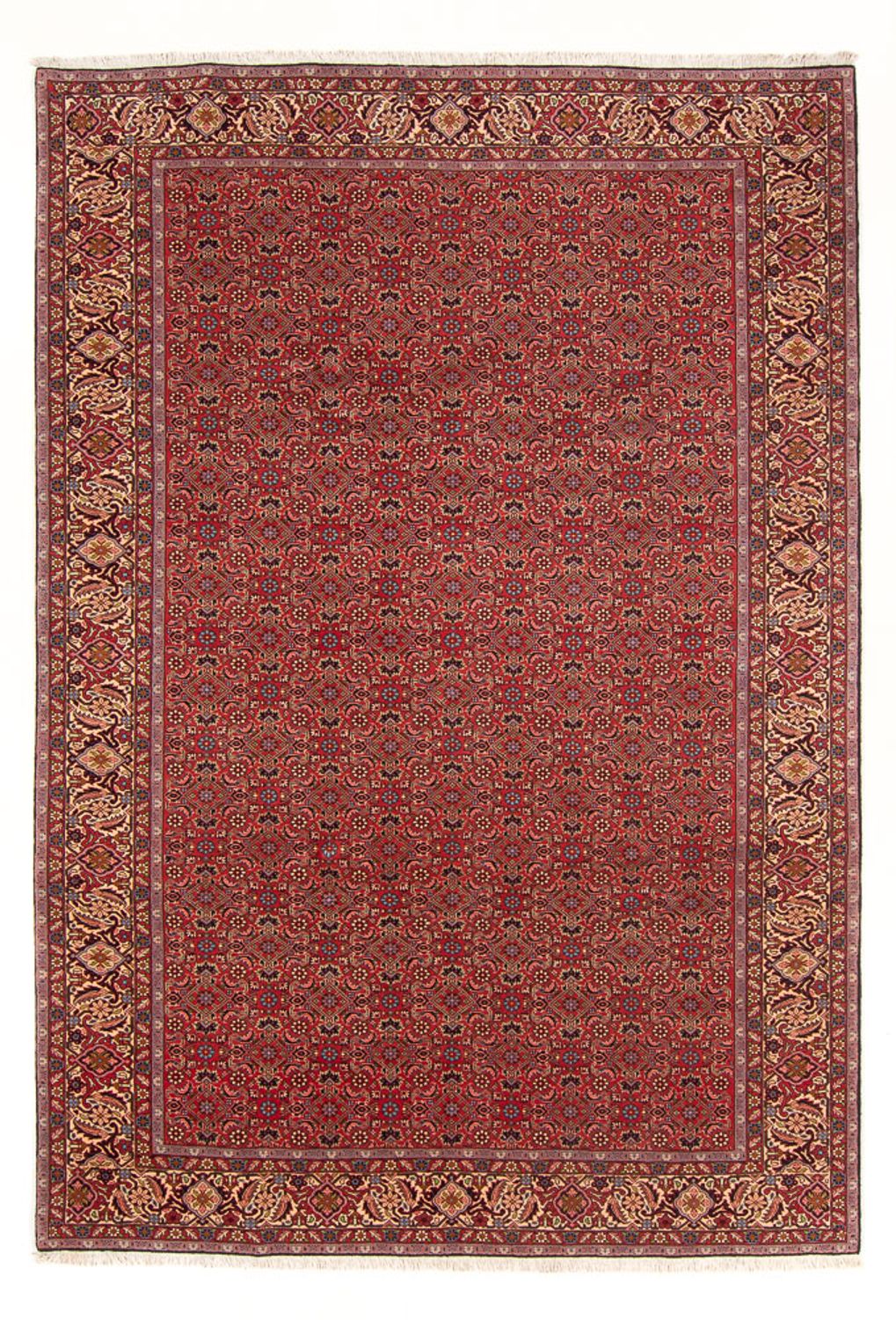 Tapis persan - Bidjar - 296 x 197 cm - rouge