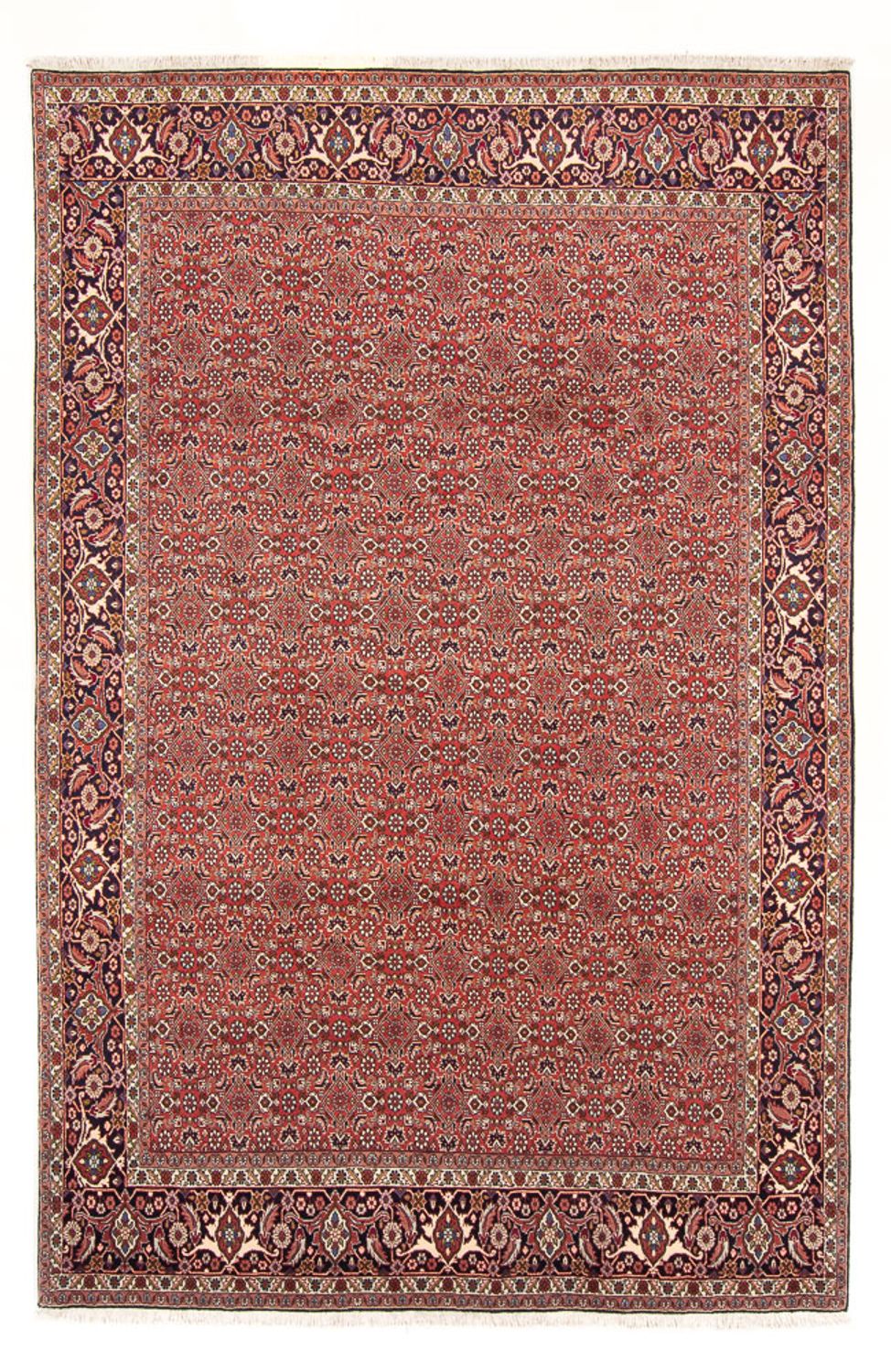 Tapis persan - Bidjar - 305 x 200 cm - rouge