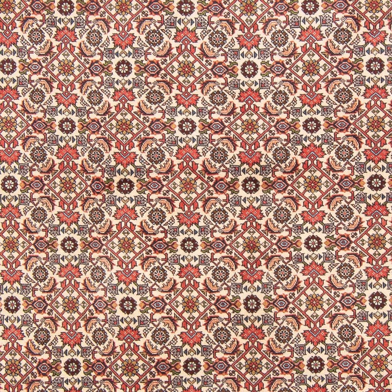 Perserteppich - Bidjar - Royal - 294 x 200 cm - creme