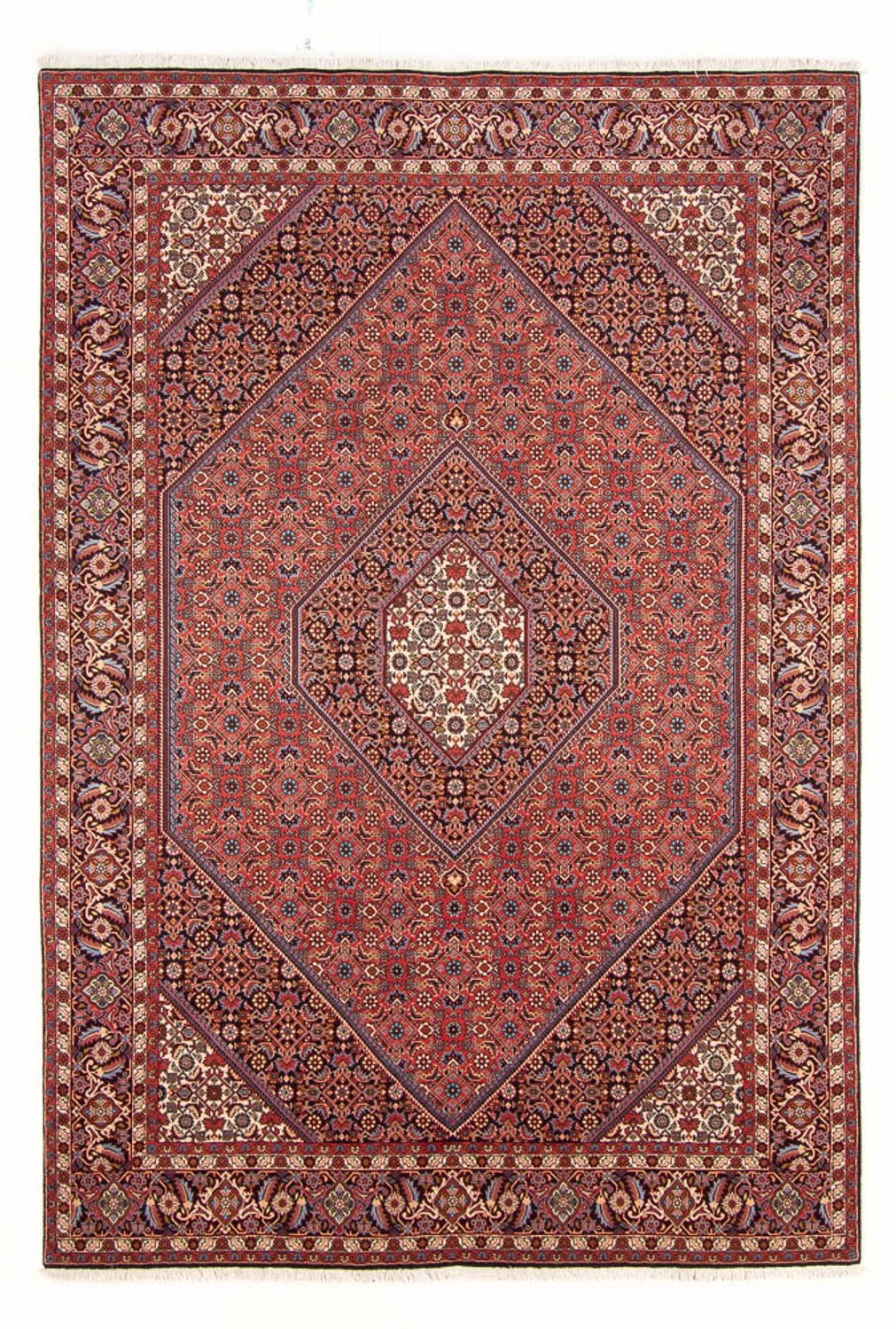 Tapis persan - Bidjar - 298 x 200 cm - rouge