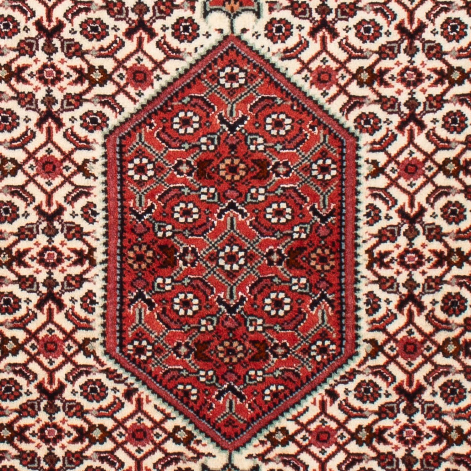 Alfombra persa - Bidjar - 90 x 70 cm - beige