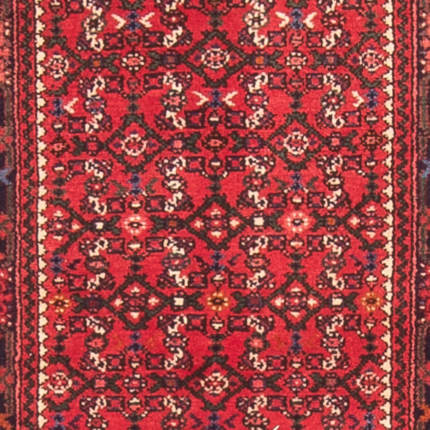 Tapis de couloir Tapis persan - Nomadic - 600 x 80 cm - rouge