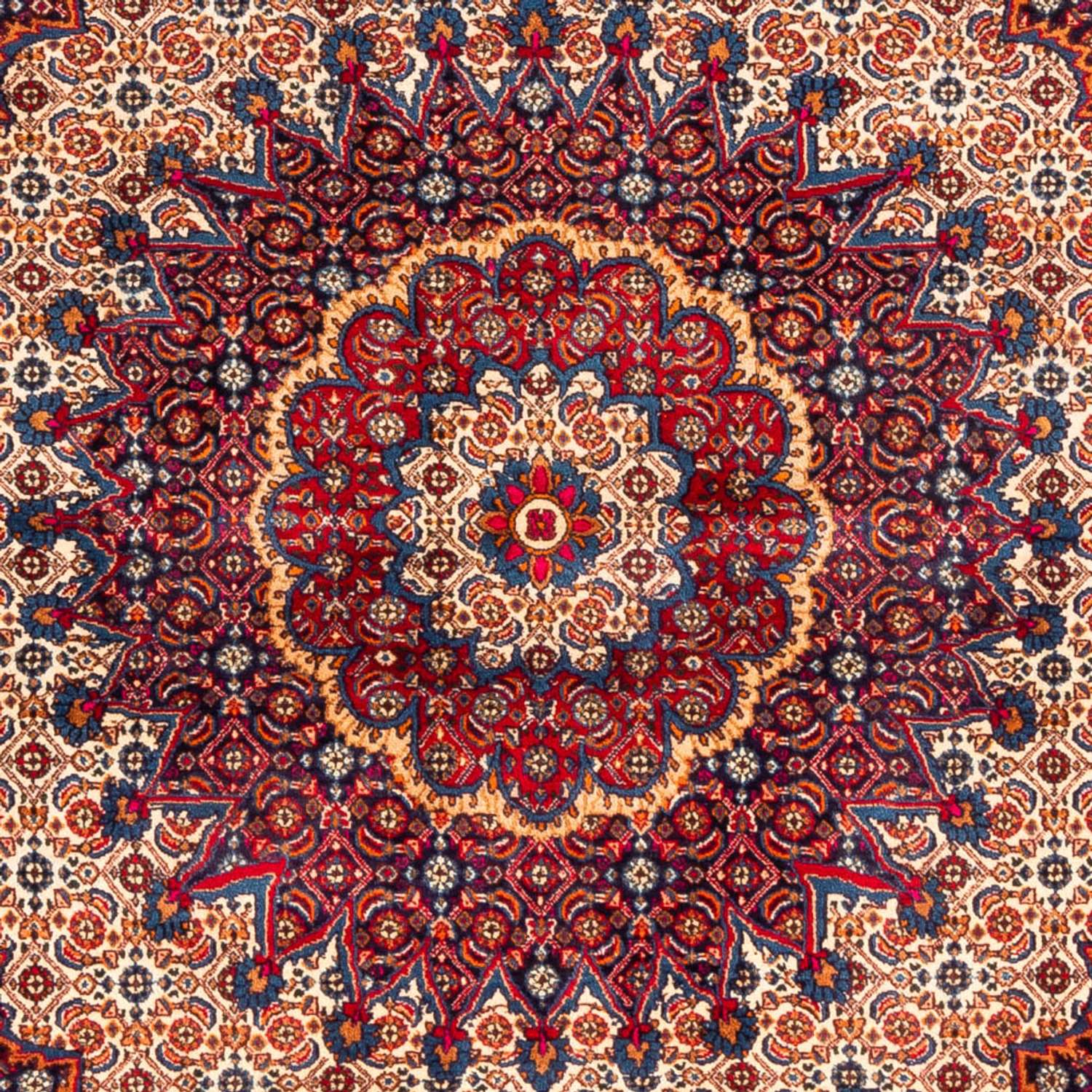 Tapete Persa - Clássico - 262 x 217 cm - vermelho