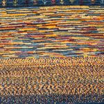 Gabbeh Rug - Loribaft Perser - Royal - 126 x 83 cm - multicolored