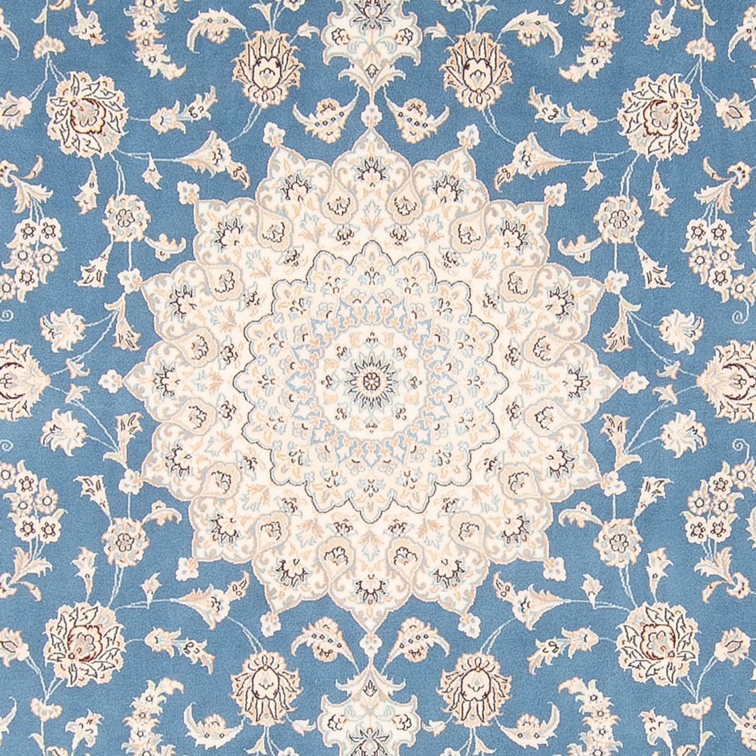 Tapis persan - Nain carré  - 252 x 248 cm - bleu clair