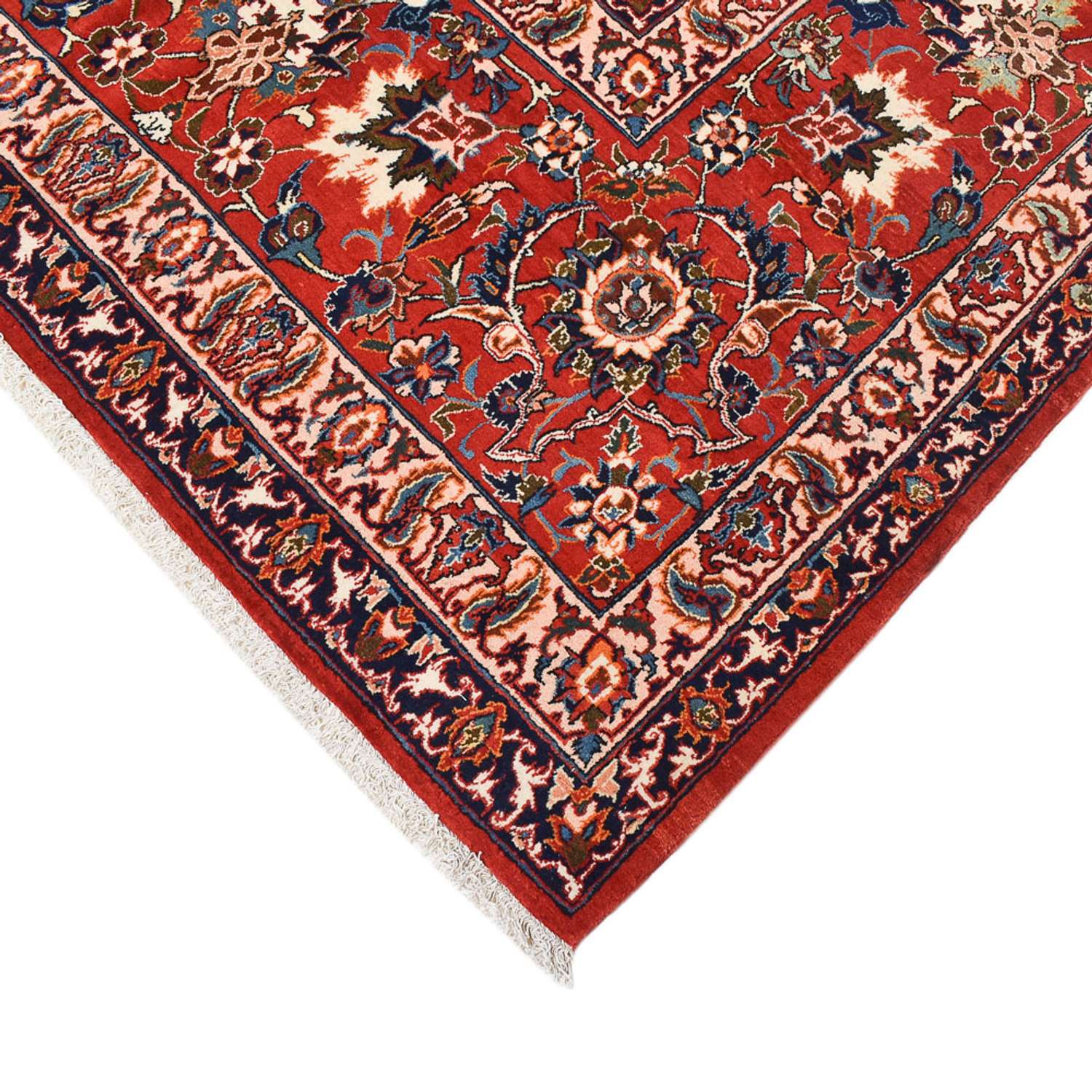 Tappeto Persero - Isfahan - Premio - 518 x 314 cm - crema