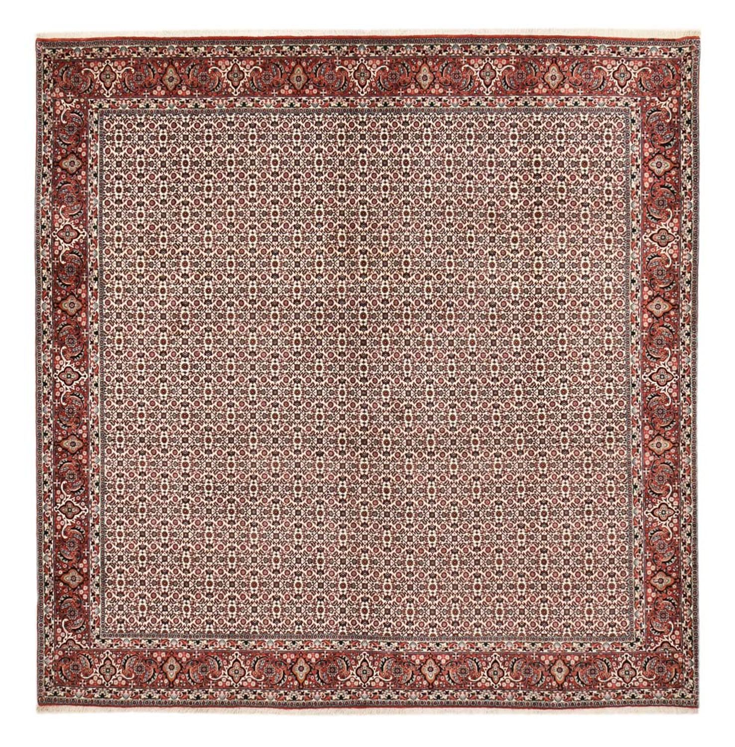 Perzisch tapijt - Bijar vierkant  - 306 x 304 cm - roest