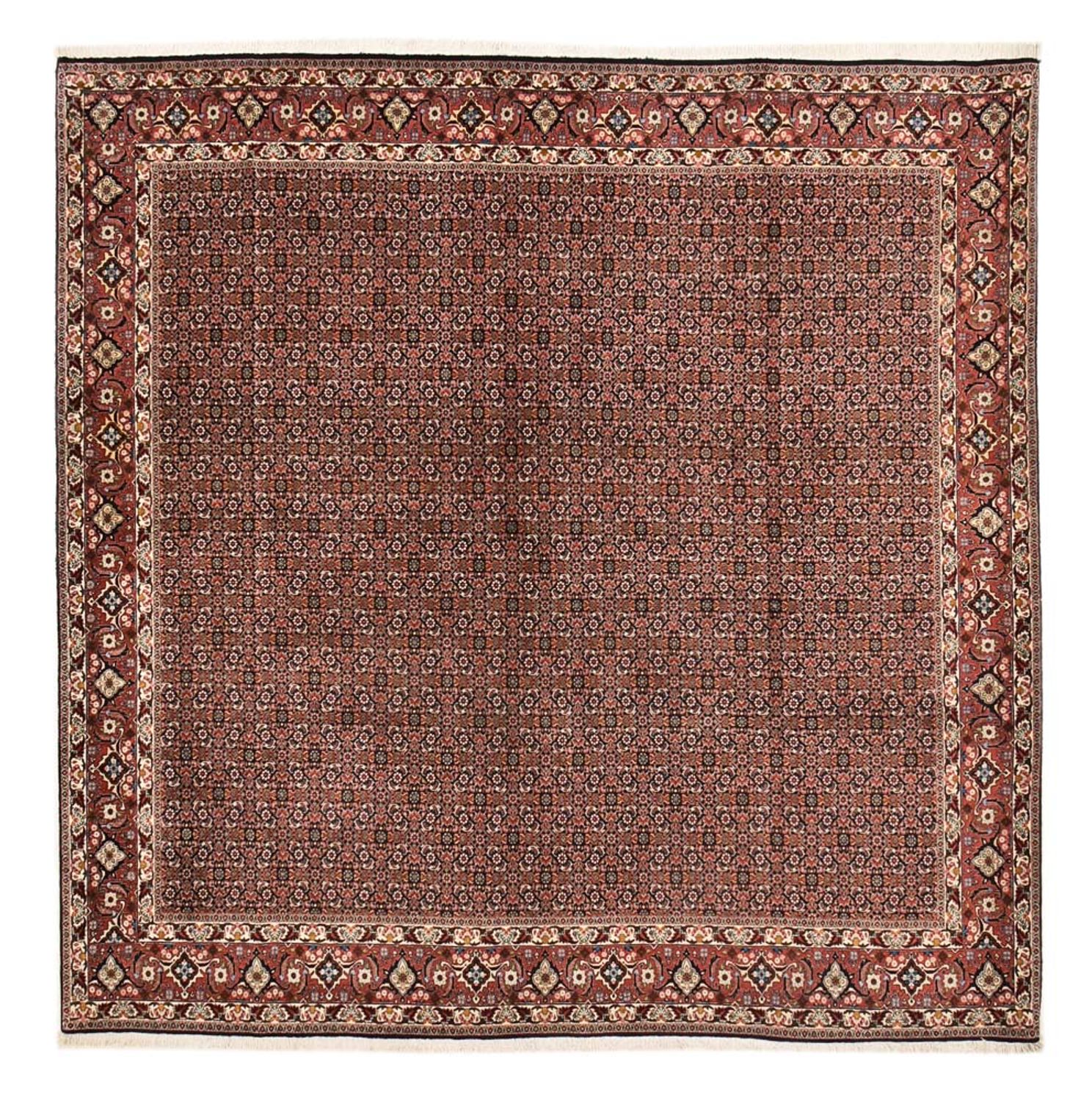 Tapis persan - Bidjar carré  - 303 x 293 cm - rouille