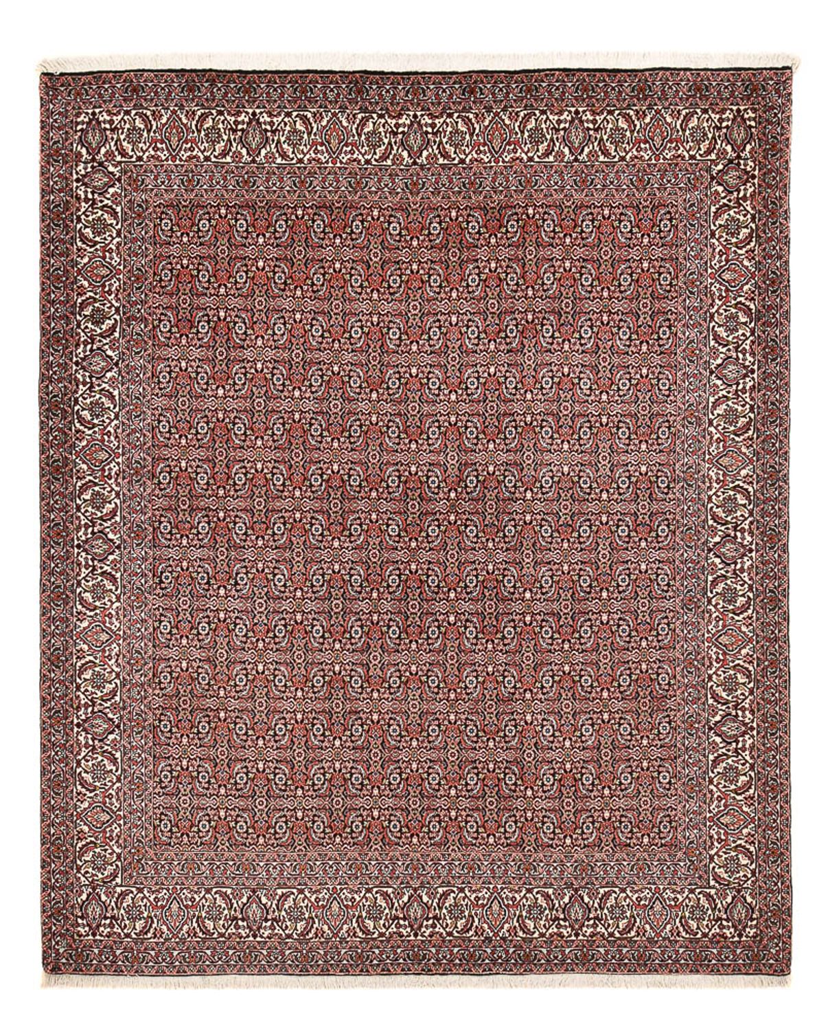 Tapis persan - Bidjar - 250 x 204 cm - rouille