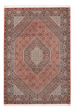 Tapis persan - Bidjar - 295 x 200 cm - rouge foncé