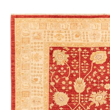 Ziegler Rug - 340 x 254 cm - red