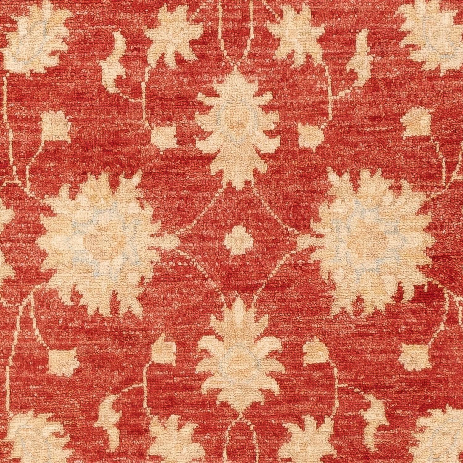 Runner Ziegler Rug - 200 x 82 cm - red