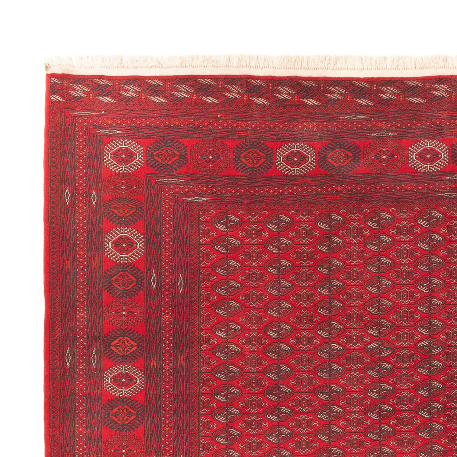 Afghan Rug - Royal - 400 x 305 cm - red