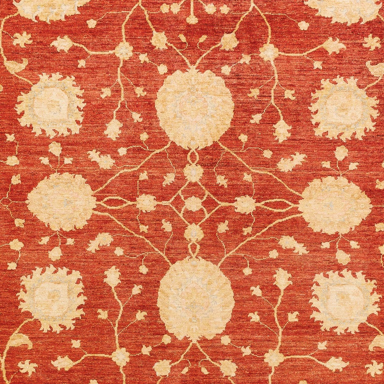 Ziegler Rug - 359 x 265 cm - red