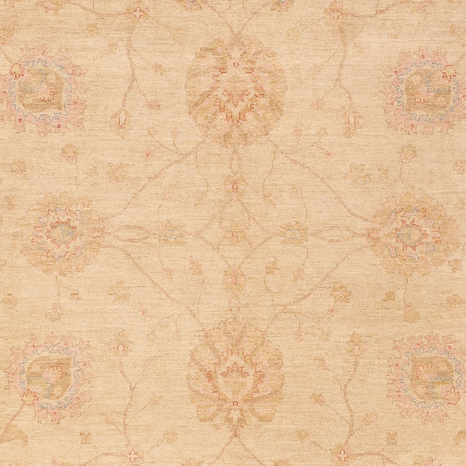 Tappeto Ziegler - 368 x 274 cm - beige scuro