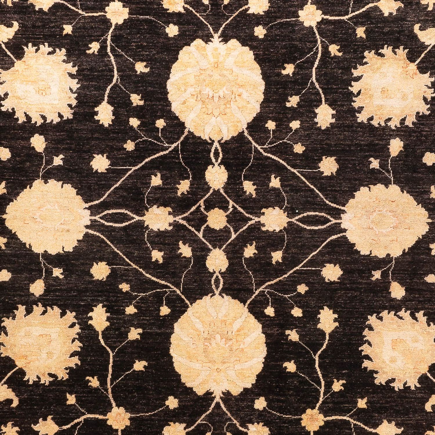 Tapis Ziegler - Ariana - 374 x 277 cm - noir