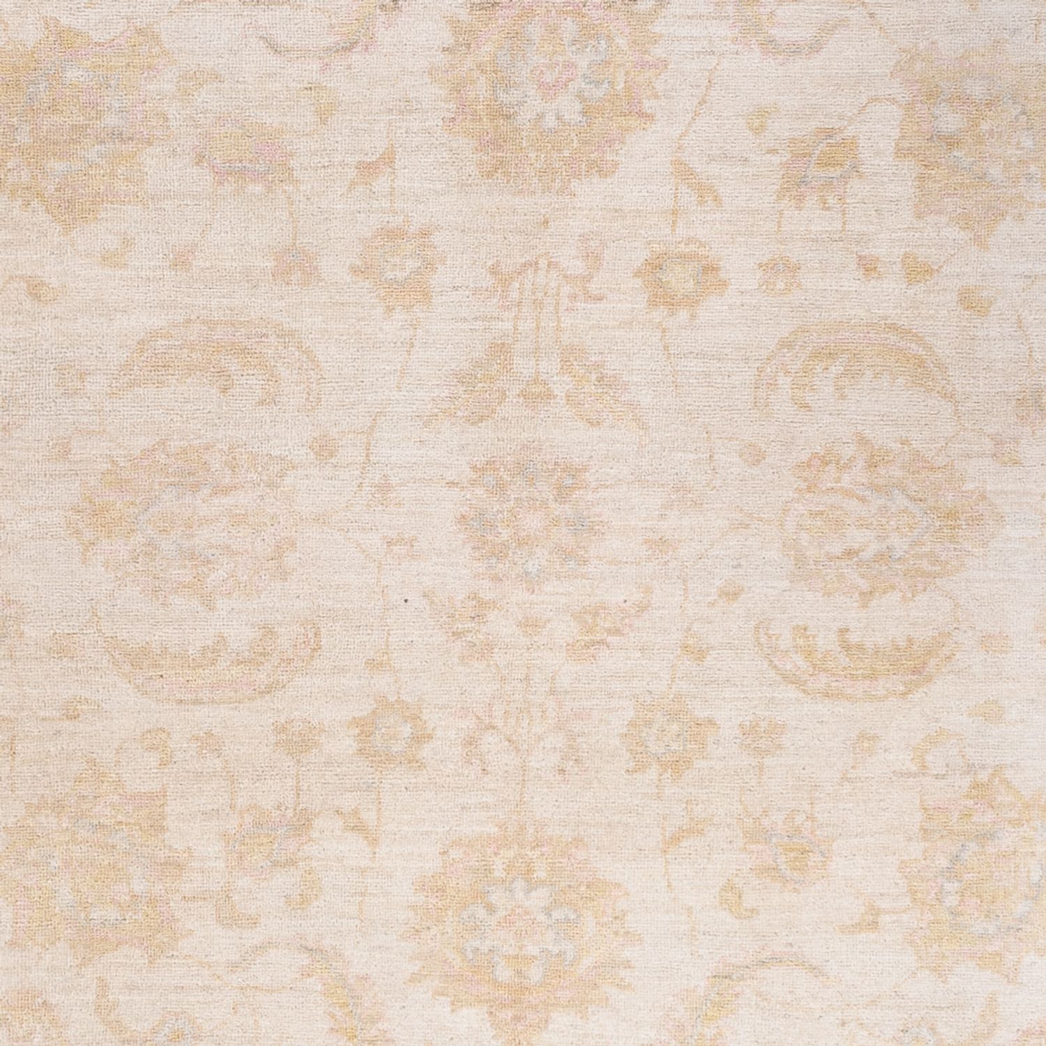 Ziegler Rug - 240 x 162 cm - cream