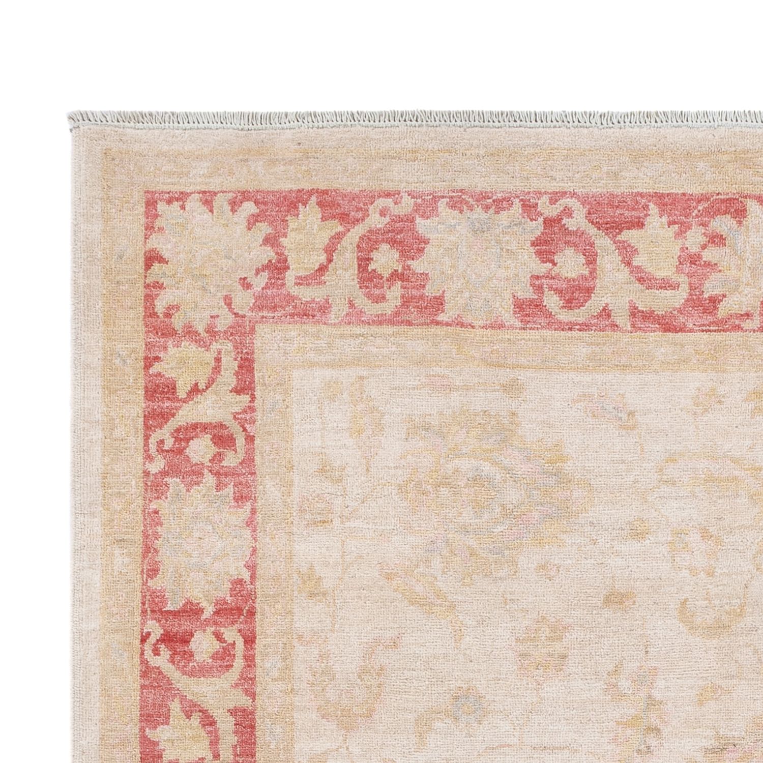 Ziegler Rug - 240 x 162 cm - cream