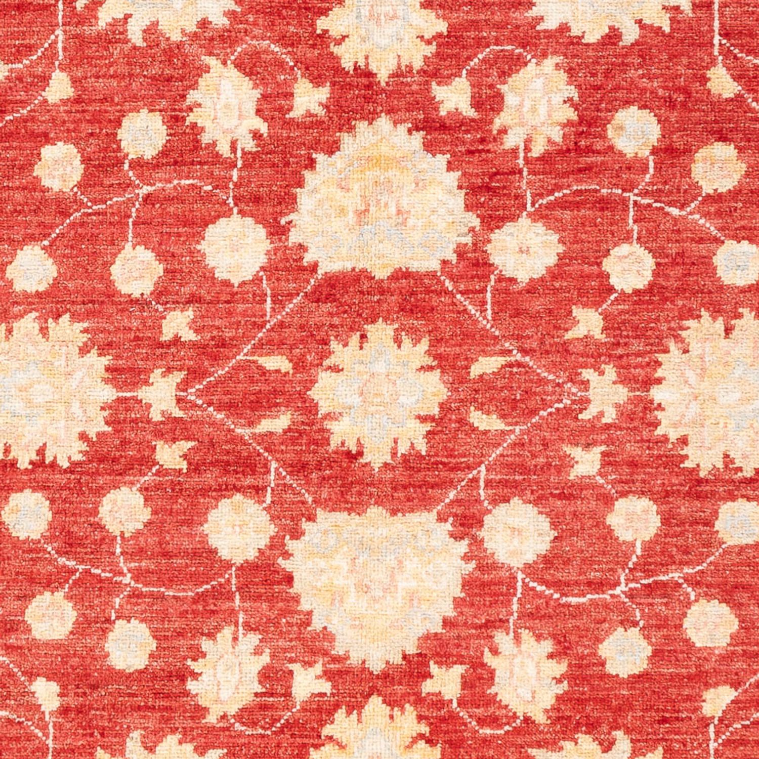 Tapis Ziegler - 177 x 126 cm - rouge