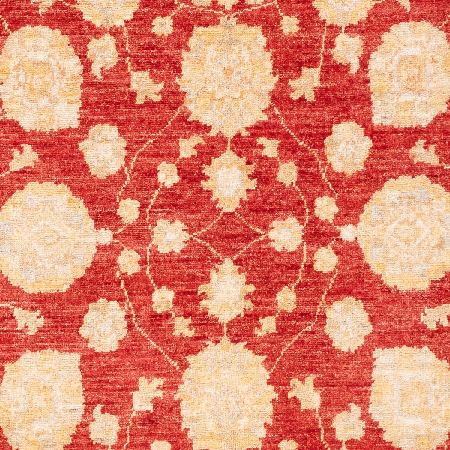 Ziegler Carpet - 181 x 125 cm - rød