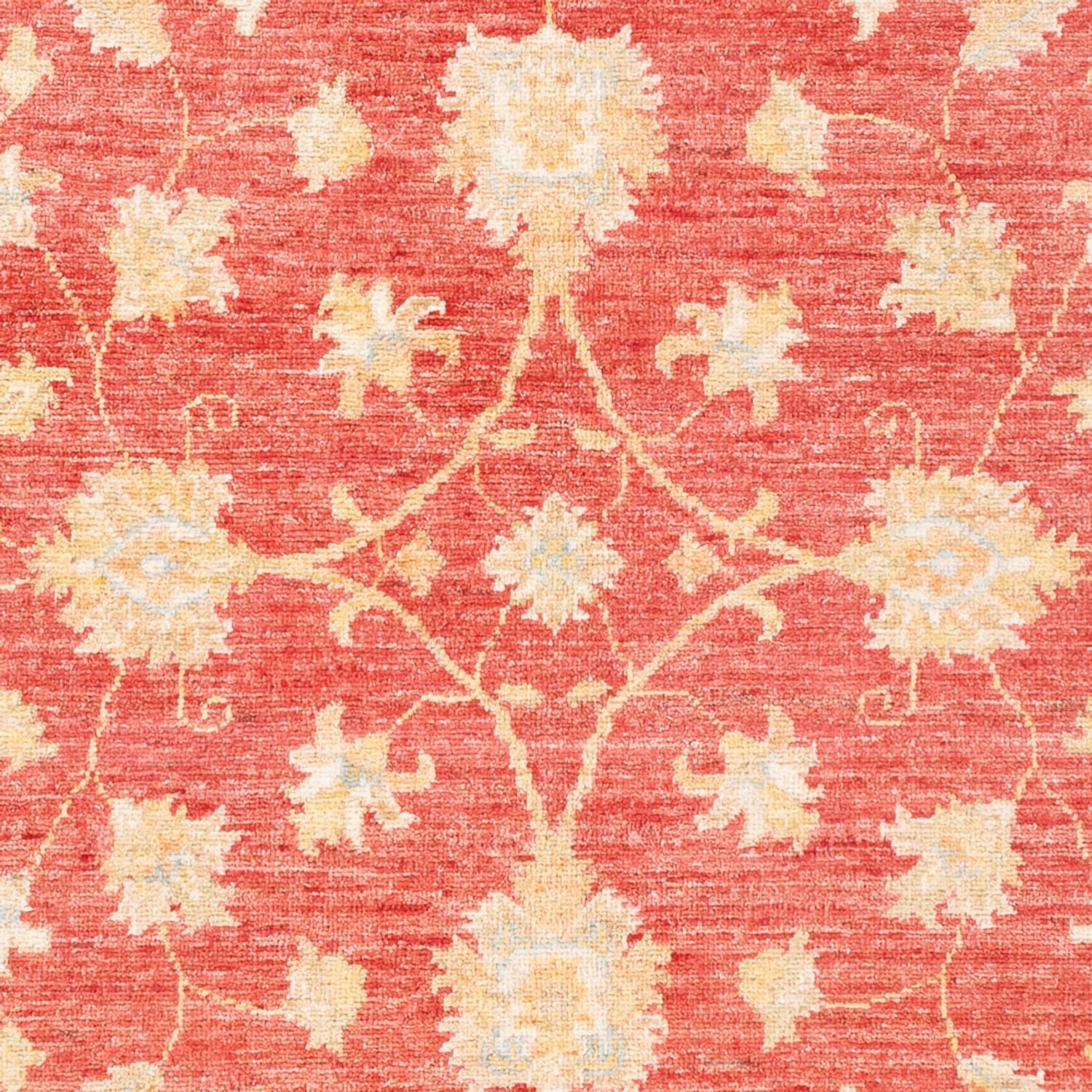 Ziegler Carpet - 183 x 125 cm - rød