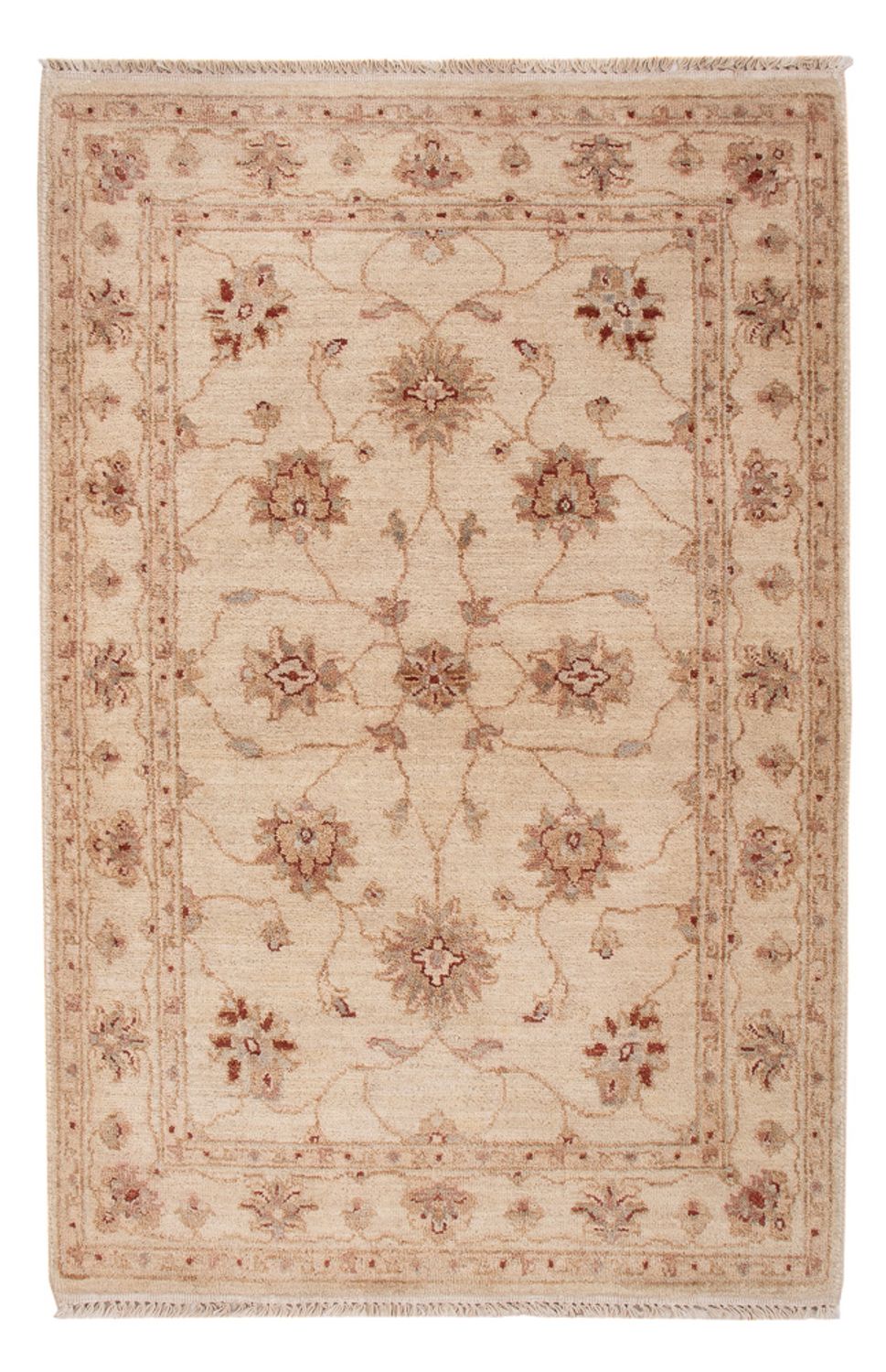 Ziegler Rug - 120 x 80 cm - beige