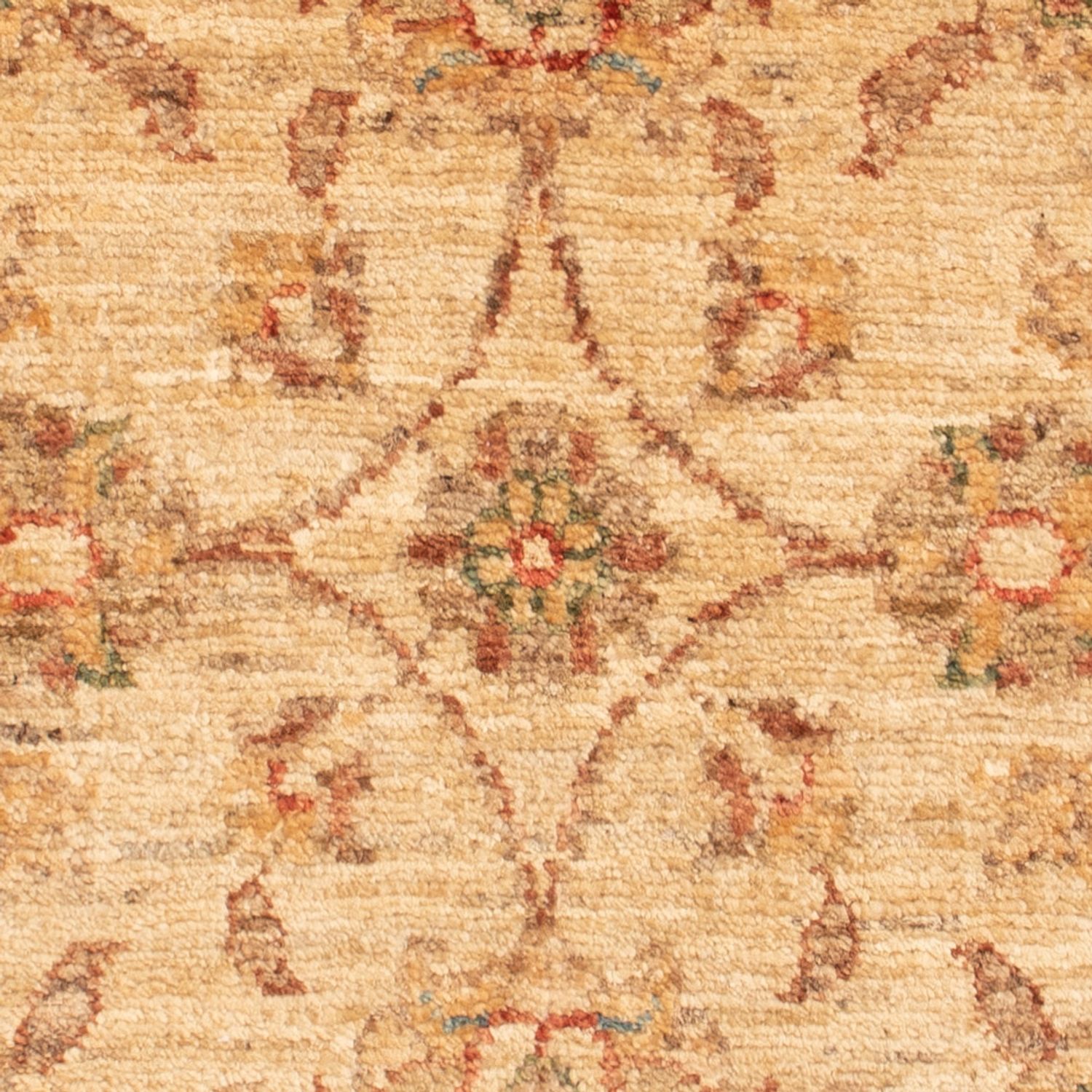 Tapis Ziegler - 70 x 50 cm - beige