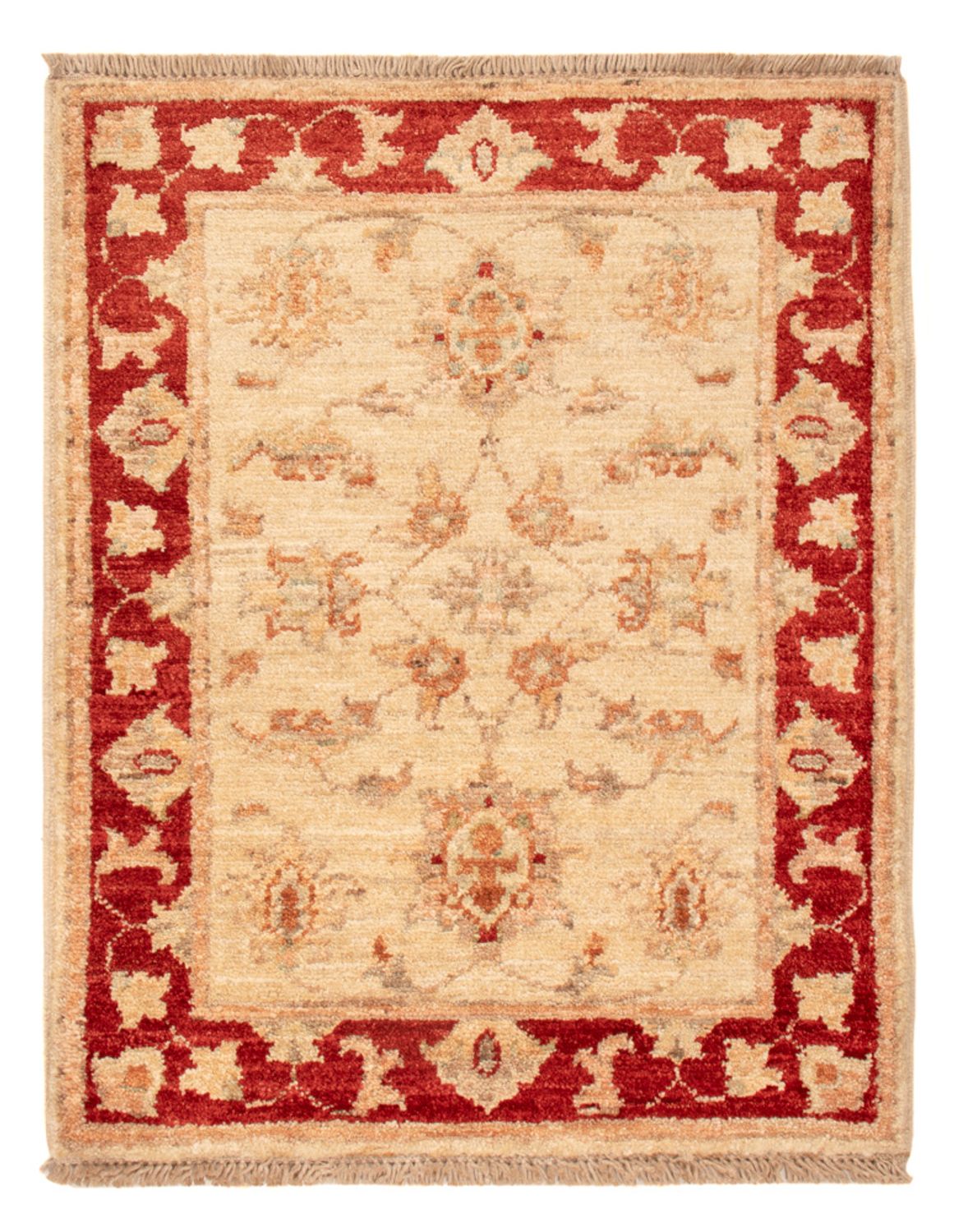 Tappeto Ziegler - 67 x 51 cm - beige