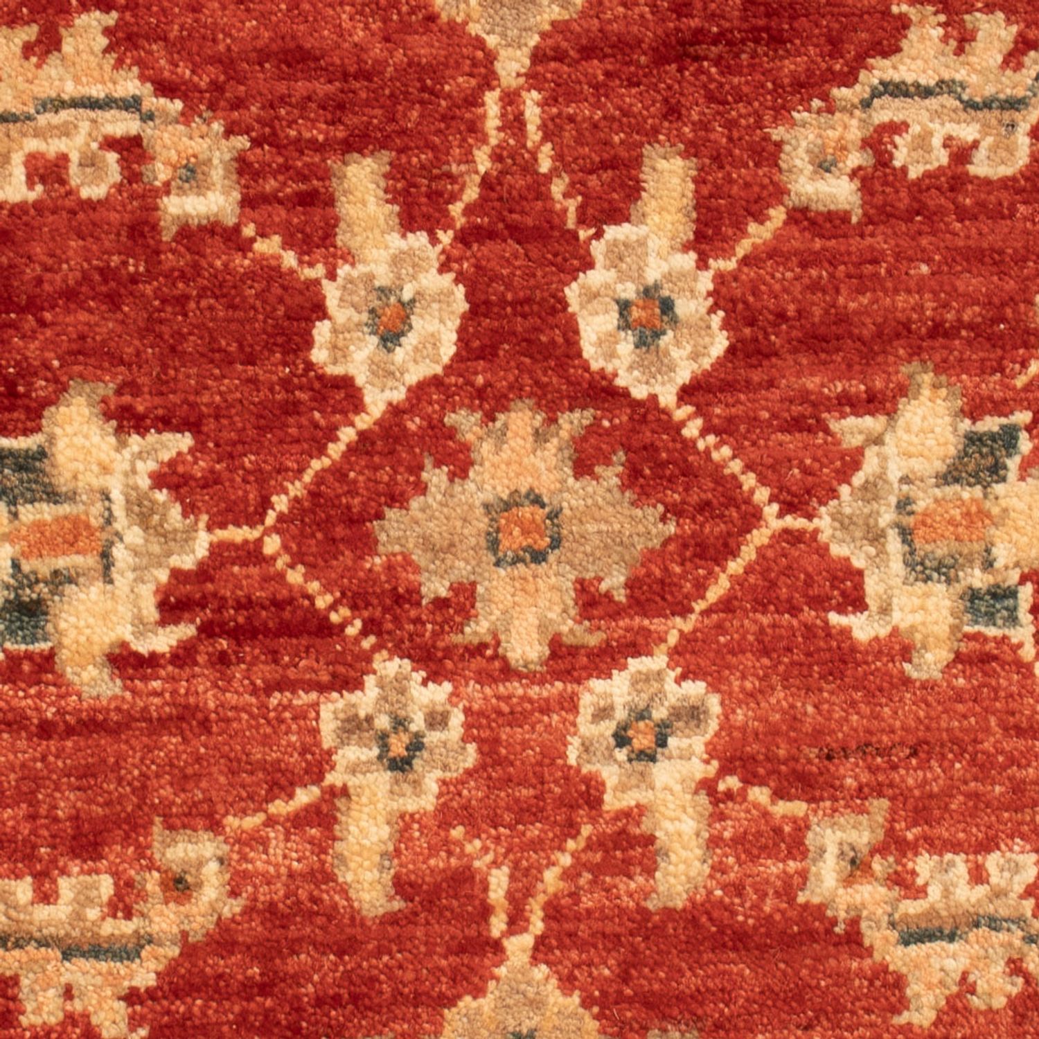 Ziegler Carpet - 70 x 51 cm - rød