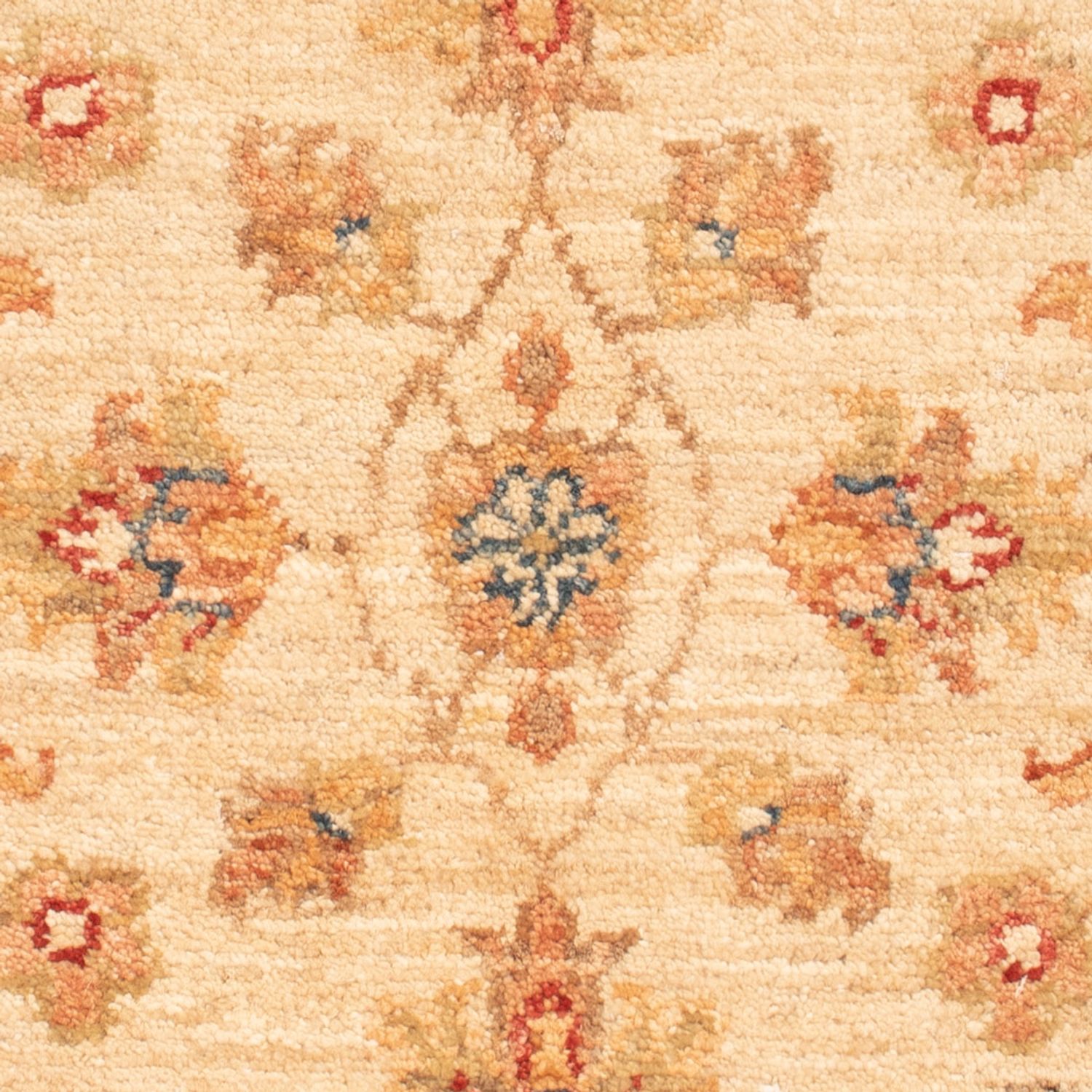 Tapis Ziegler - 73 x 51 cm - beige