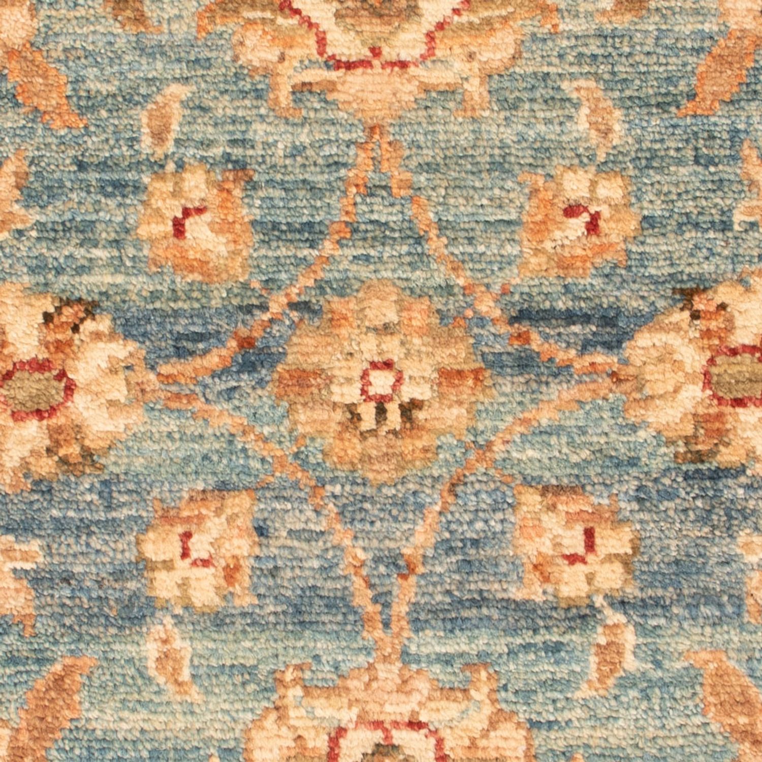 Ziegler Carpet - 70 x 53 cm - lyseblå