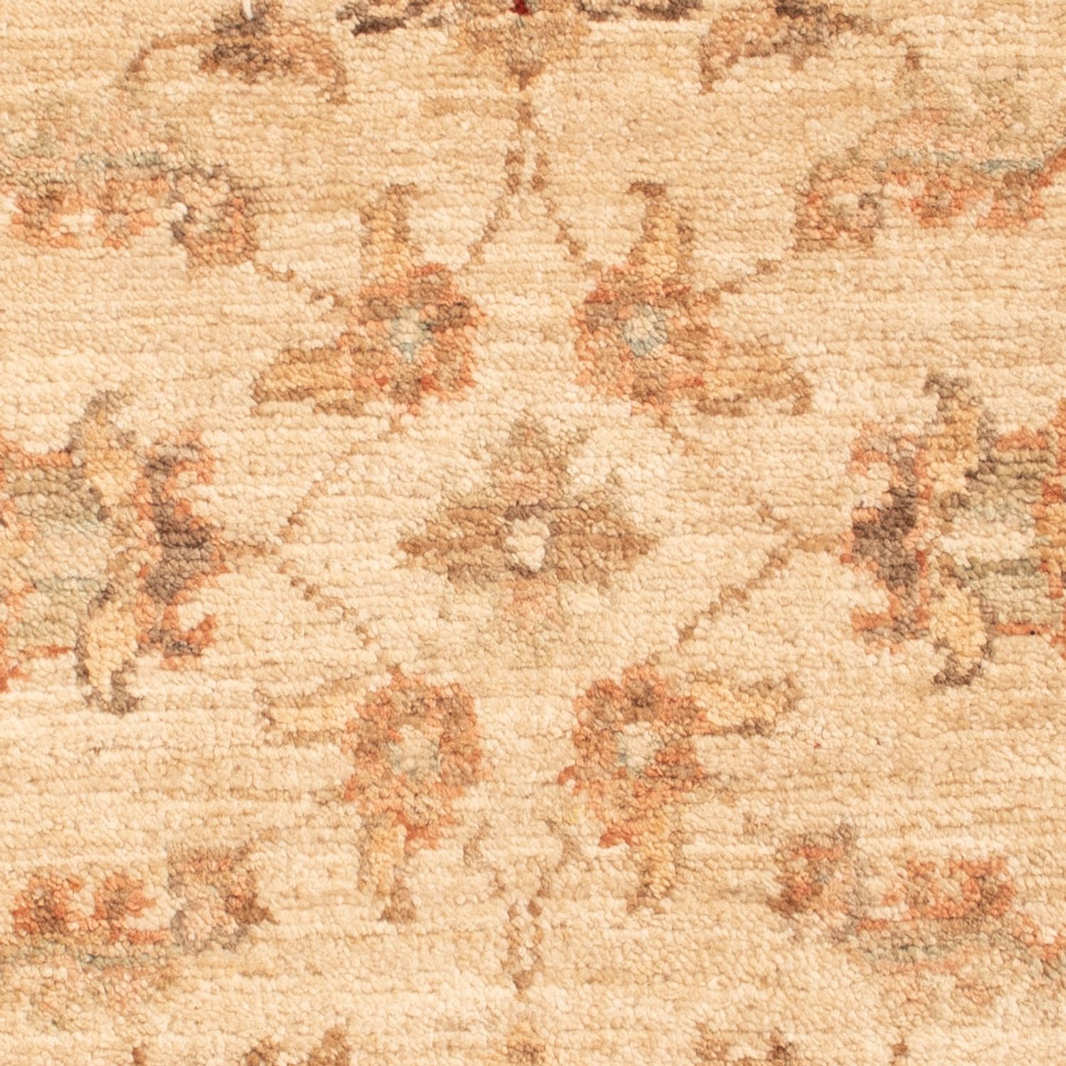 Tappeto Ziegler - 70 x 51 cm - beige