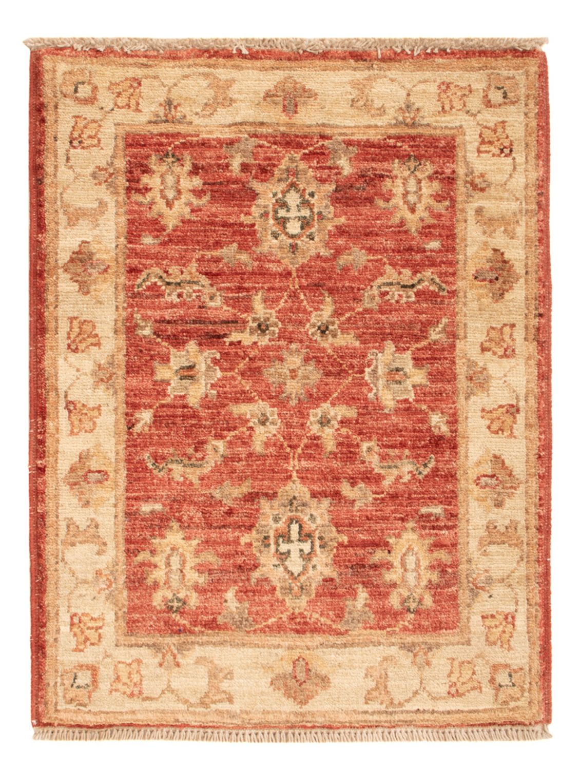 Ziegler Carpet - 67 x 51 cm - lysrød