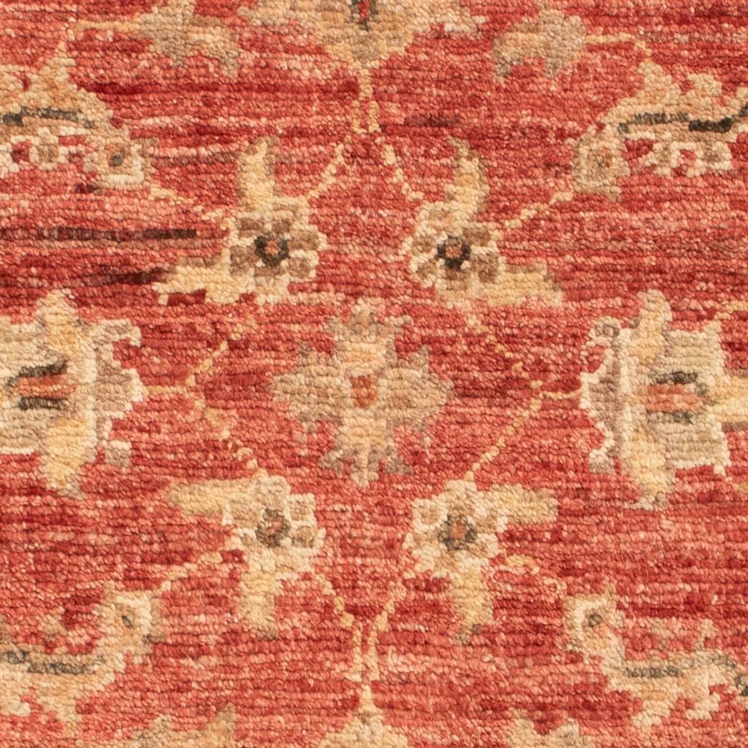 Ziegler Carpet - 67 x 51 cm - lysrød