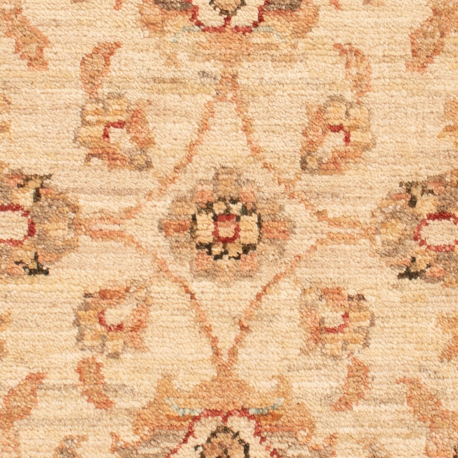 Alfombra Ziegler - 71 x 50 cm - beige