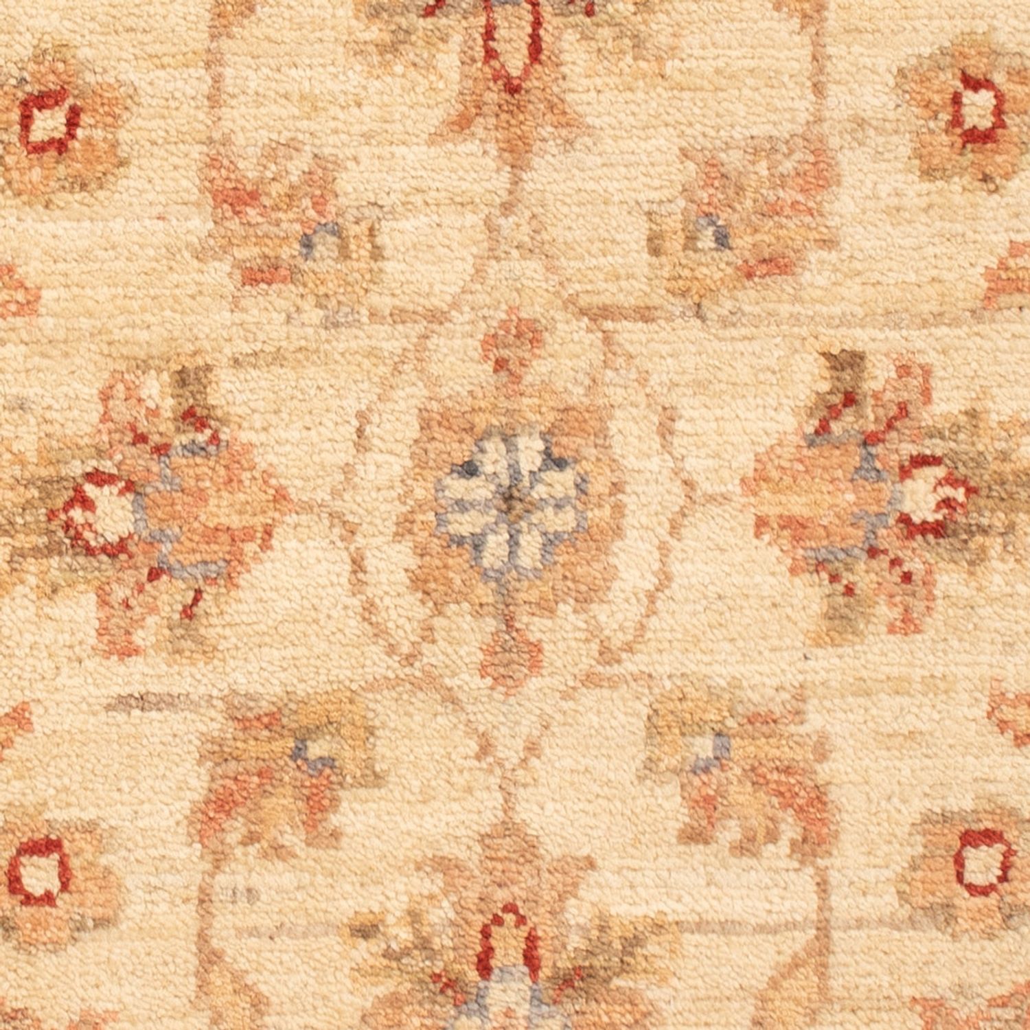 Tappeto Ziegler - 71 x 50 cm - beige