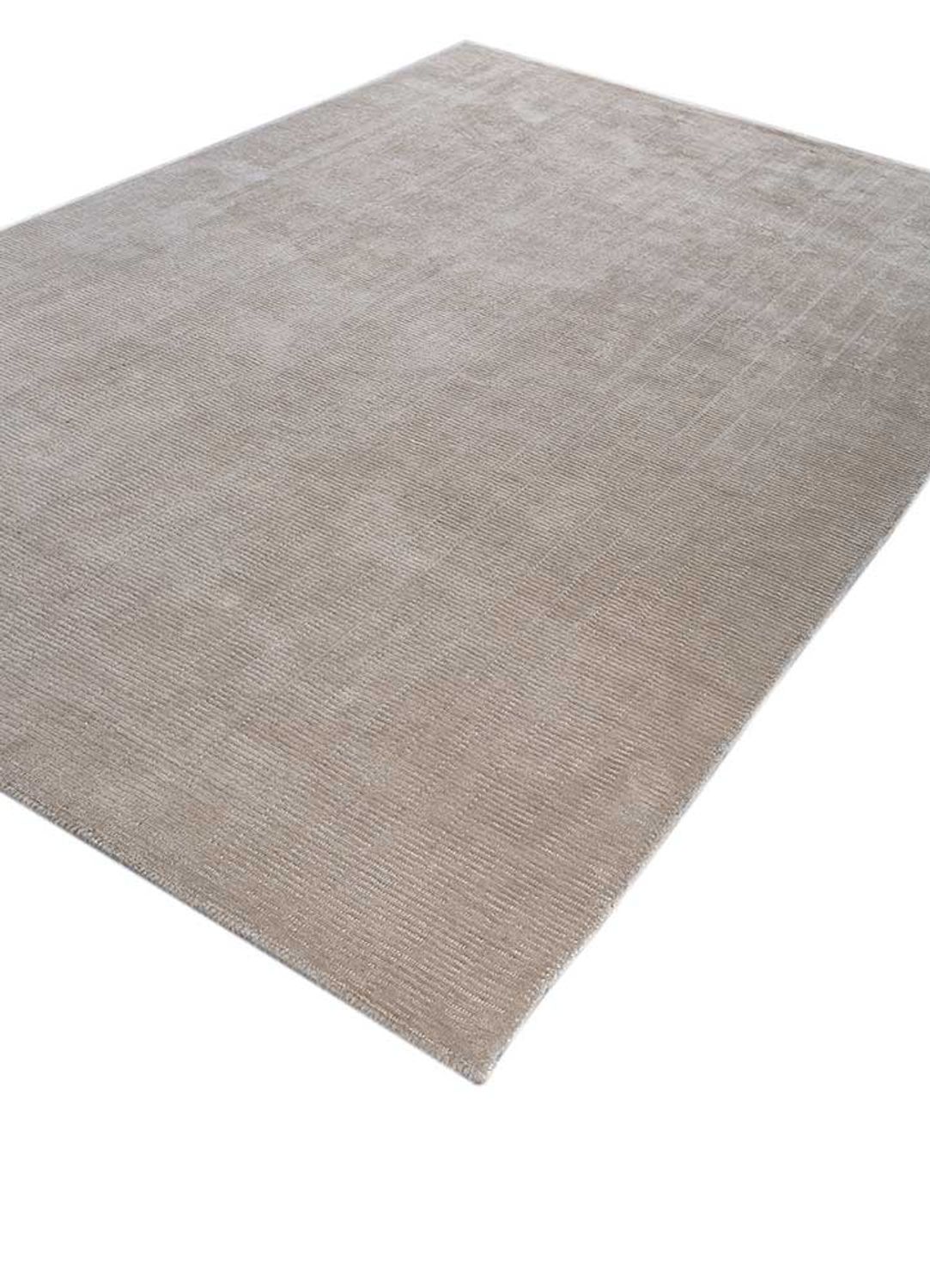 Teppich - 240 x 150 cm - dunkelbeige