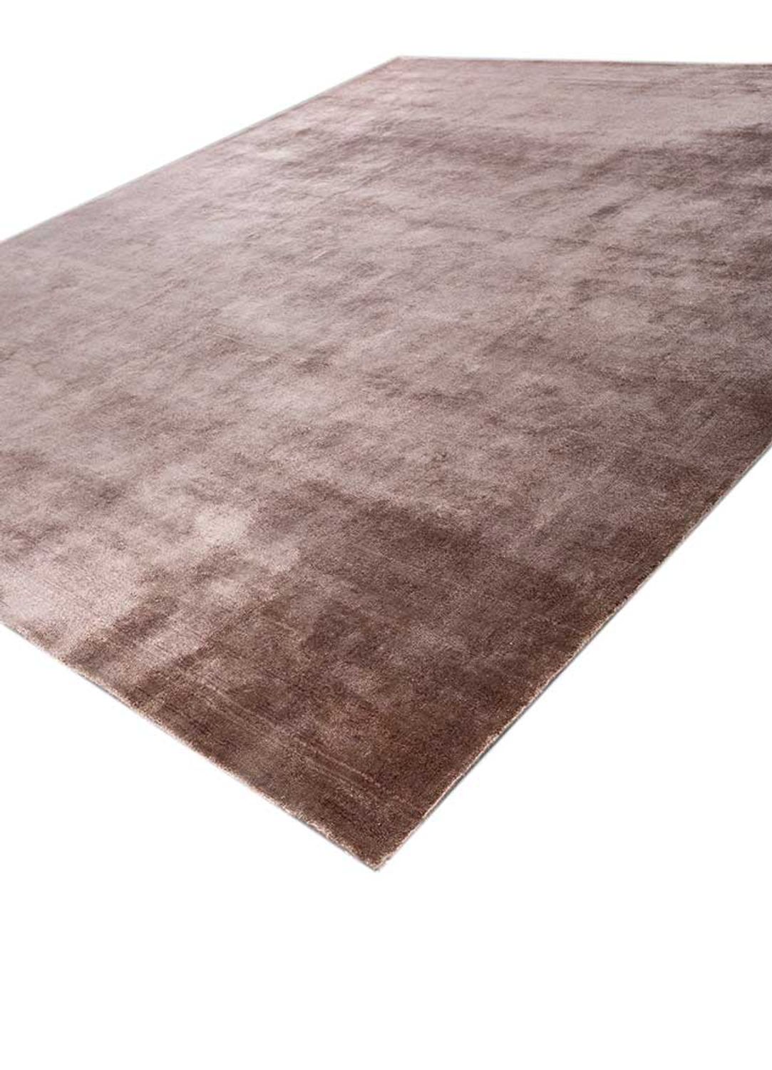 Wollen tapijt - 300 x 240 cm - beige