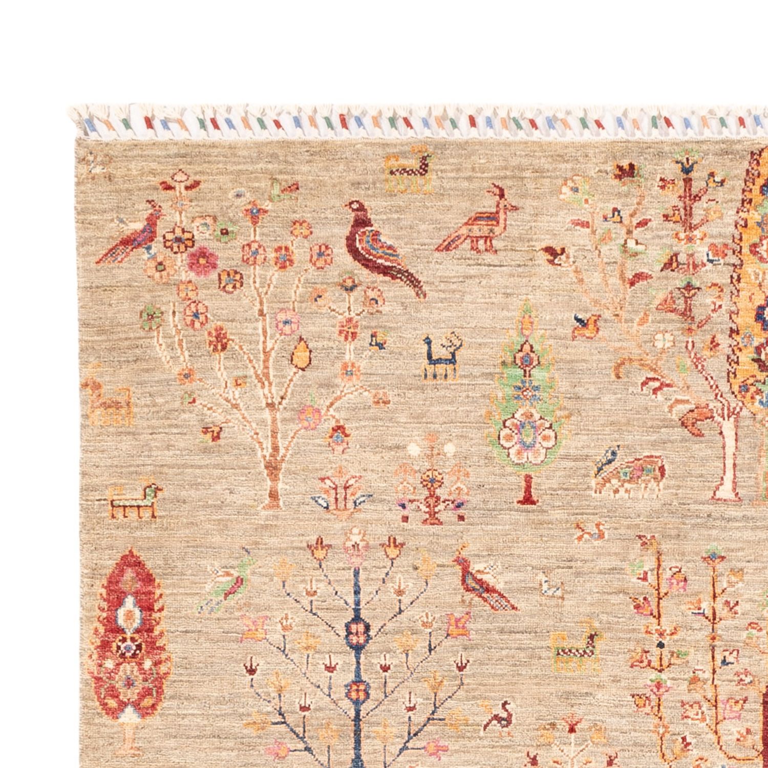 Ziegler Teppe - Ariana - 242 x 169 cm - lys beige