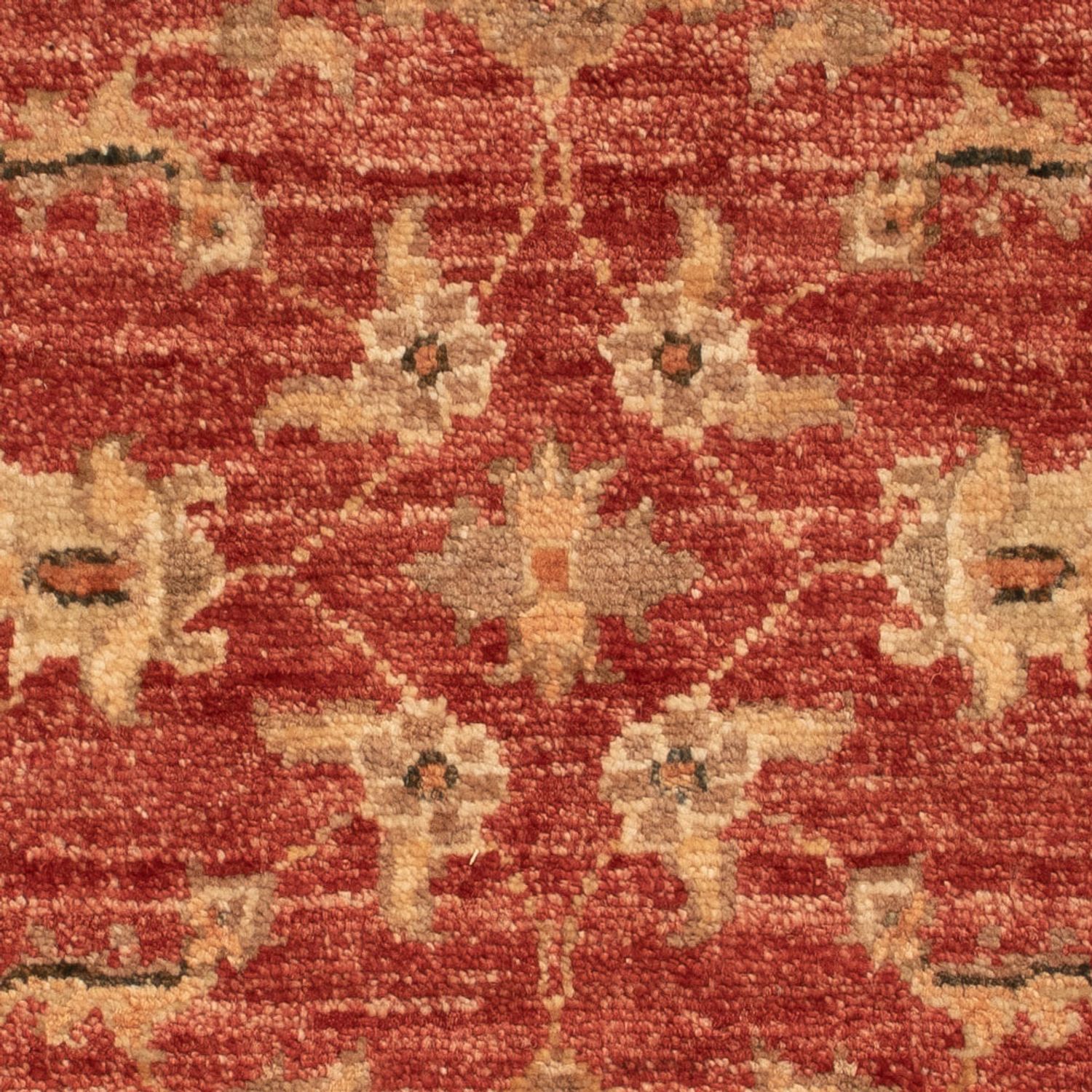 Ziegler Carpet - 67 x 50 cm - röd