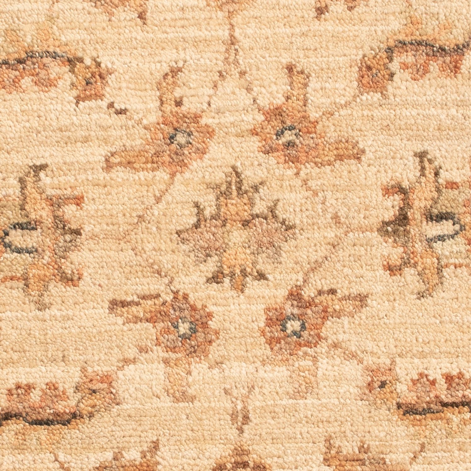 Ziegler tapijt - 64 x 49 cm - beige